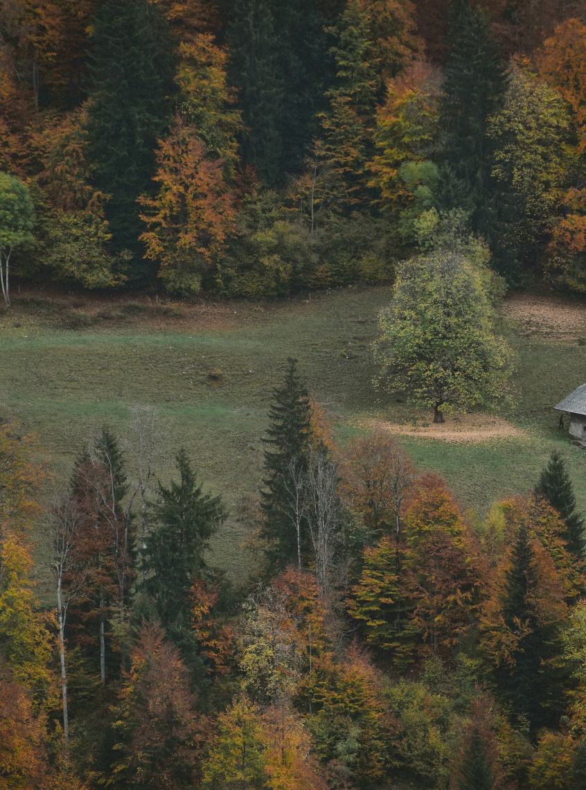 A small timber cabin among autumn trees