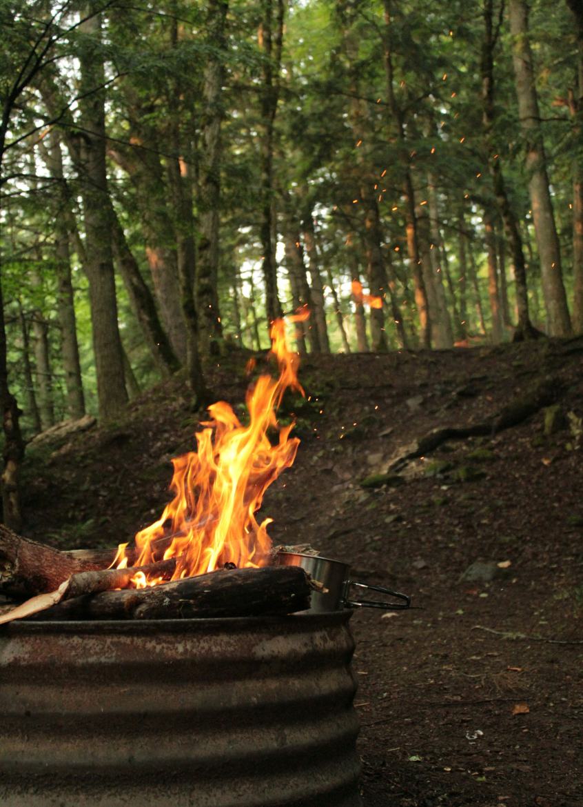 Fire pit in a forest