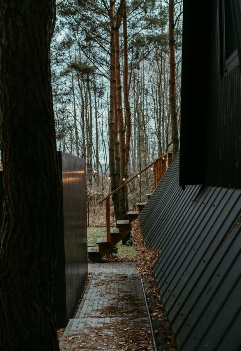 A timber walkway leading between the trees
