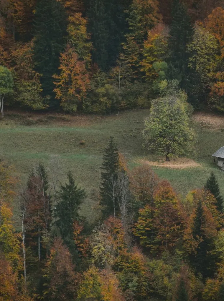 Cabin among autumn trees, Switzerland