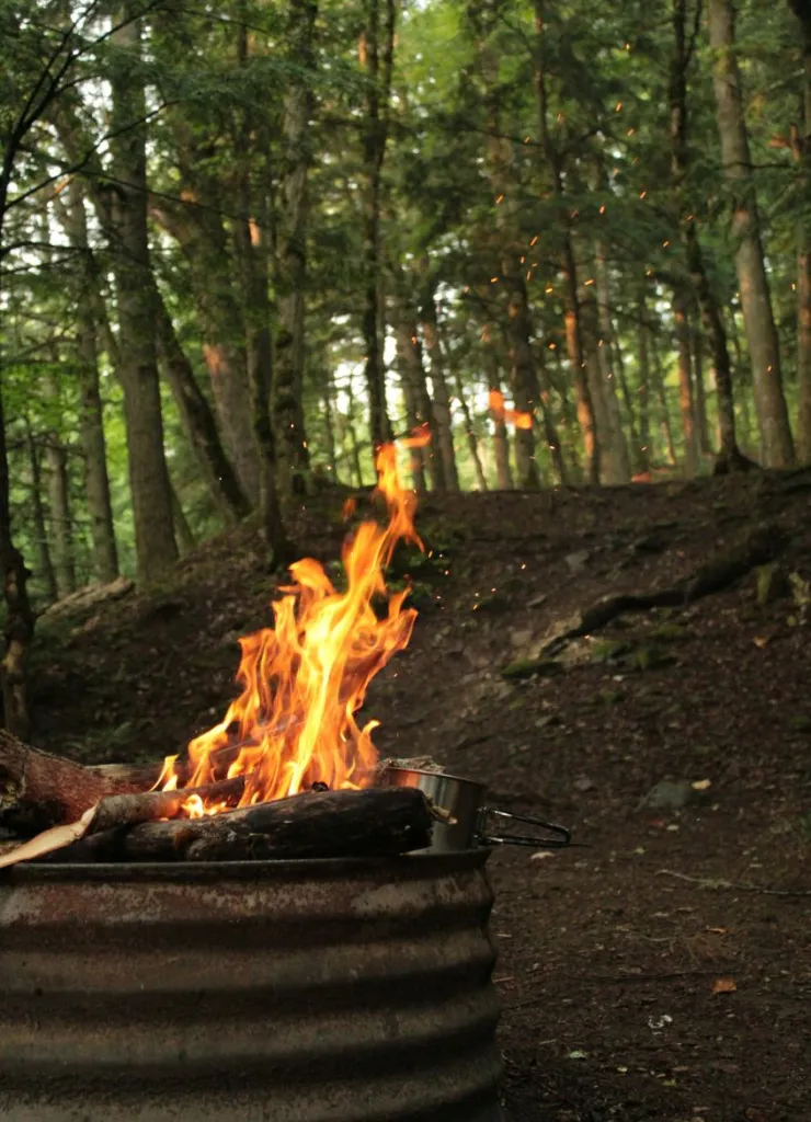 Fire pit in a forest