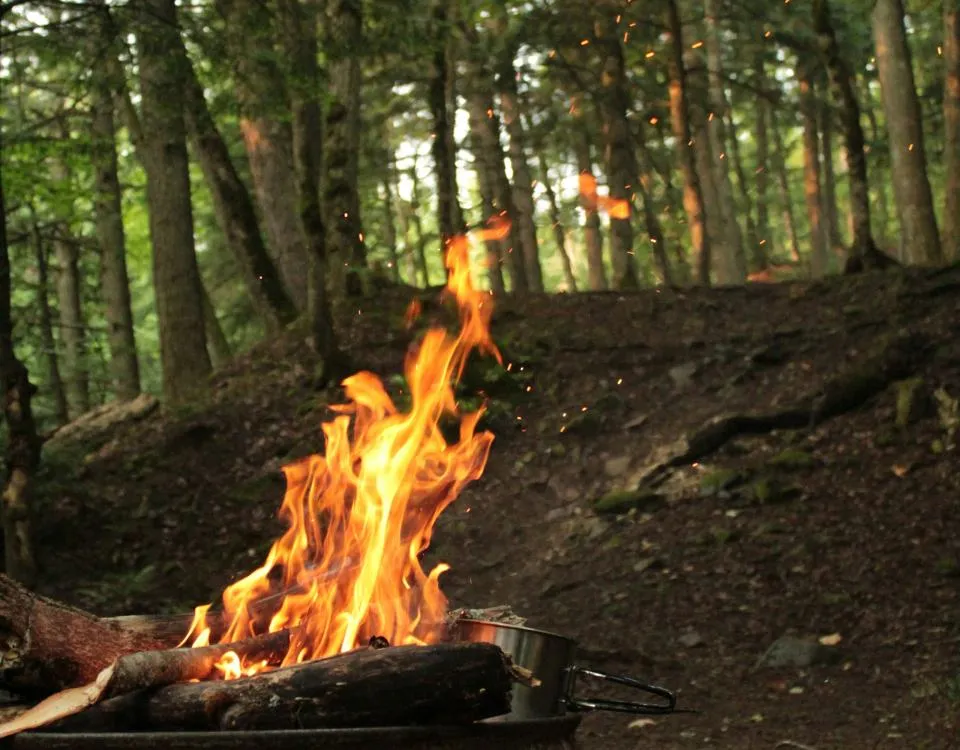 Fire pit in a forest