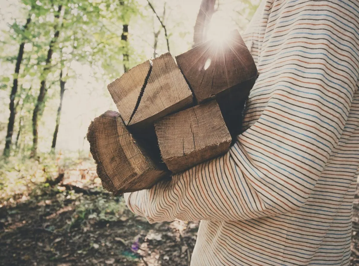 Firewood carried to the fire