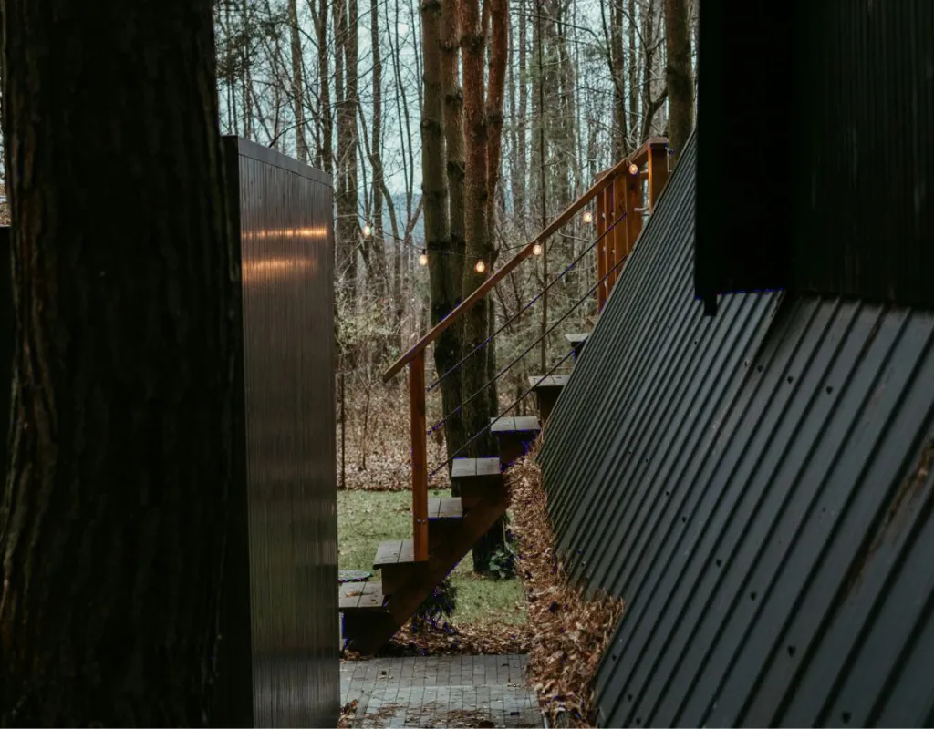 A timber walkway and stairs between the trees