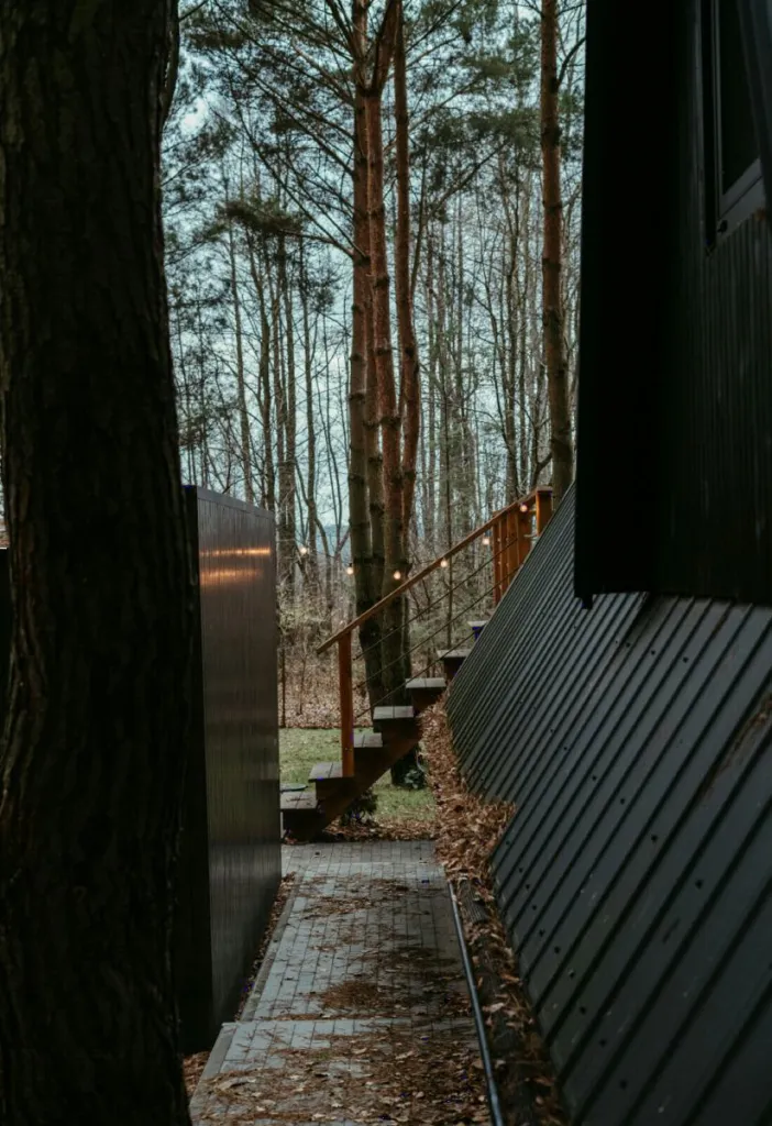 A timber walkway between trees