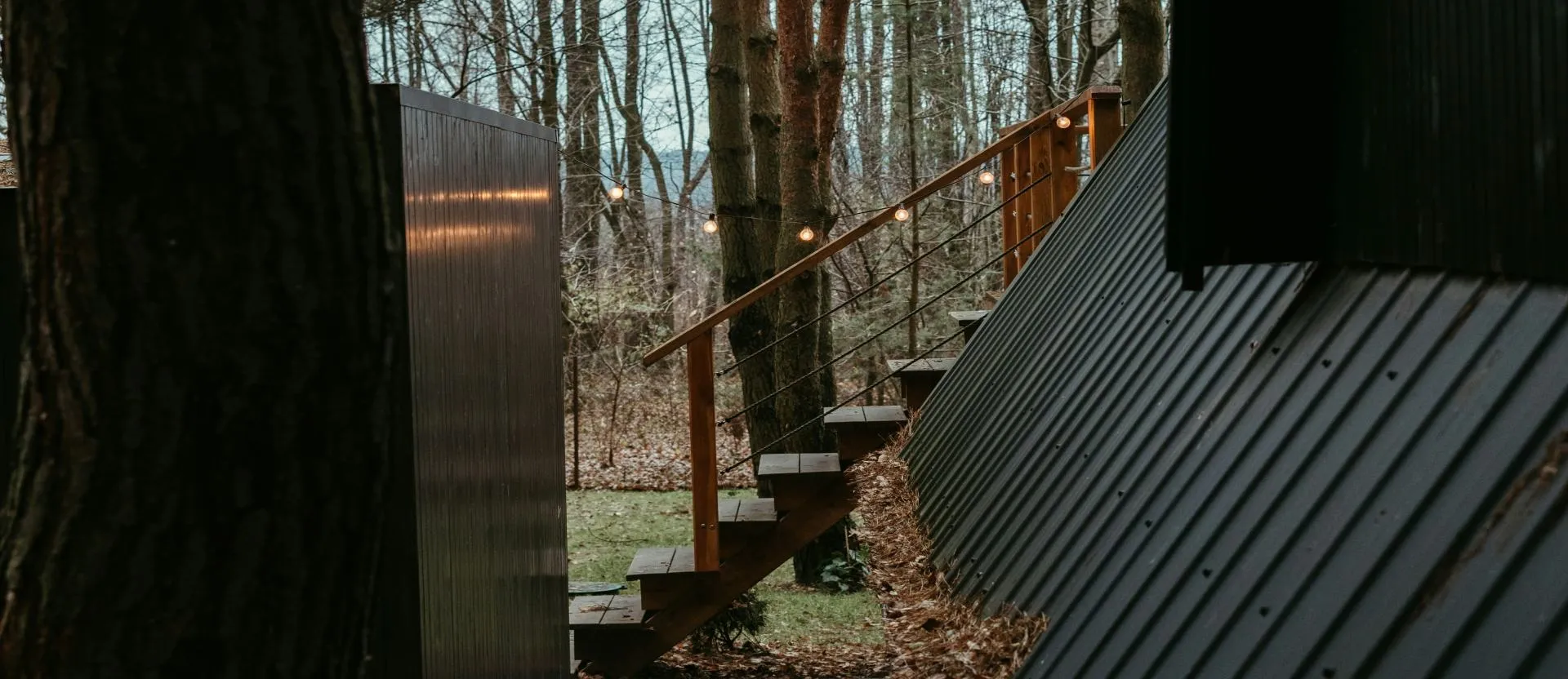 A timber walkway between trees